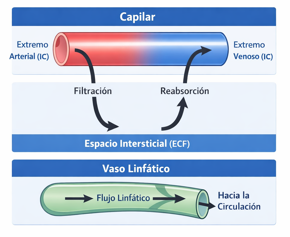 1200f634 0c6e 4cbe ab07 181d3186a27a
