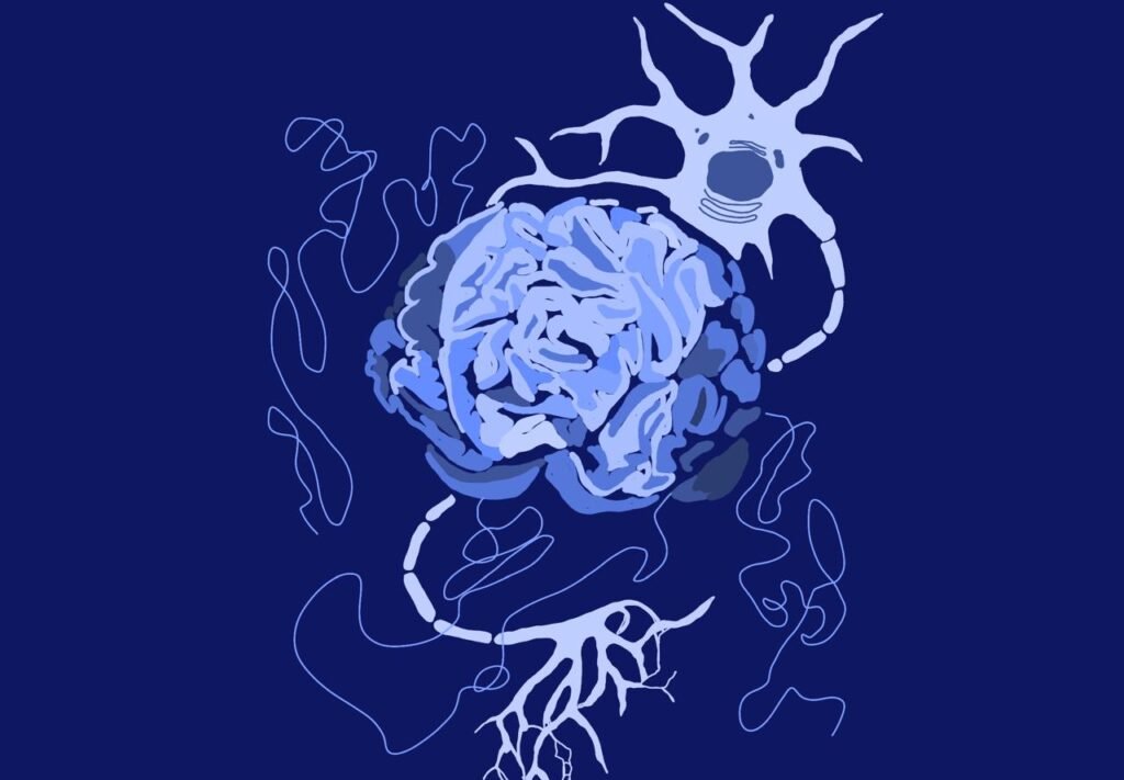 15b36878 35a7 41ef 958c 14e216dc836c