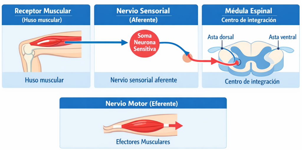 42adc3d5 110e 4273 a85b 982c6fbe4052