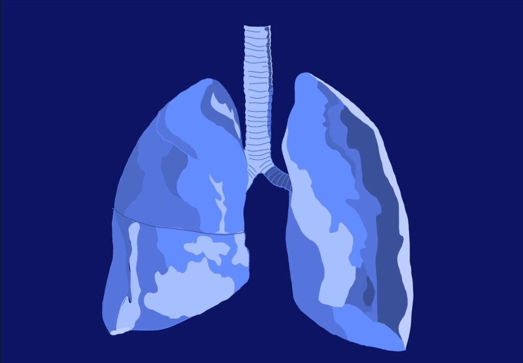 img 20251209 wa0012 (1)